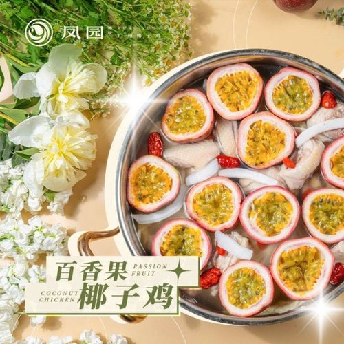 品味鳳園椰珍 臻品椰子雞 邢臺萬民城店的獨特正餐體驗